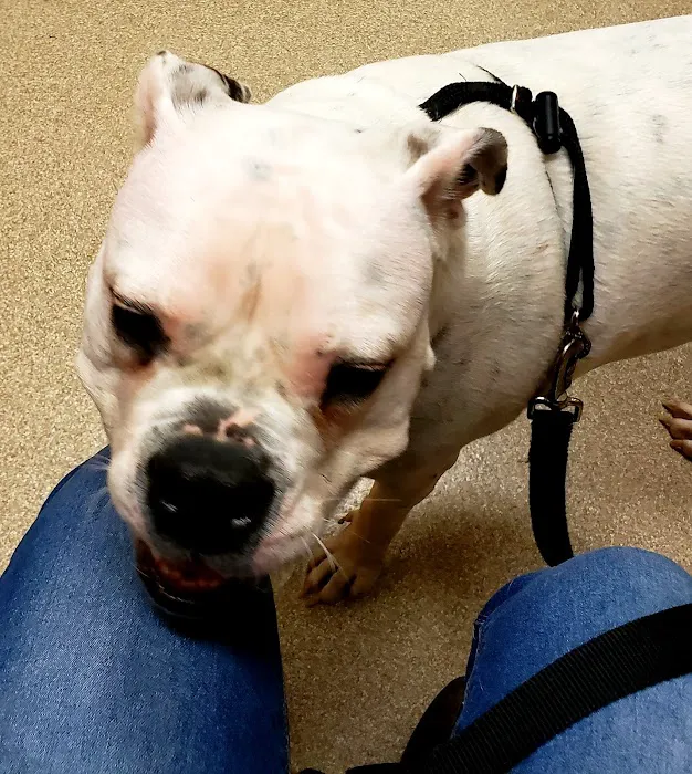 Noah's Landing Pet Care Clinic, LLC 12