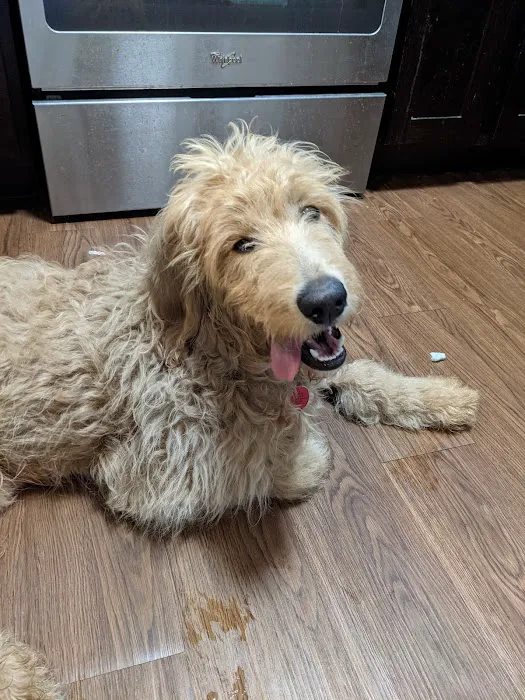 Noah's Landing Pet Care Clinic, LLC 12