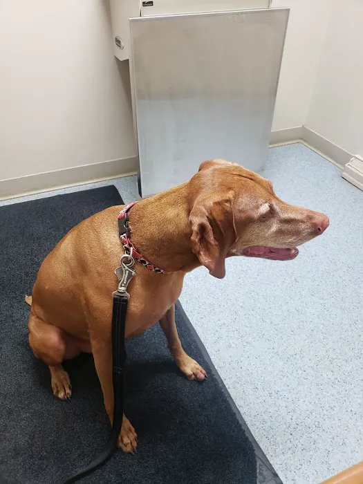 Berrien Veterinary Services 5