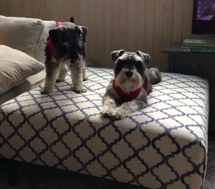Berrien Veterinary Services 2