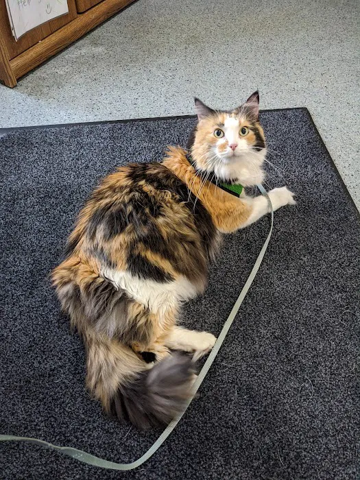 Berrien Veterinary Services 7