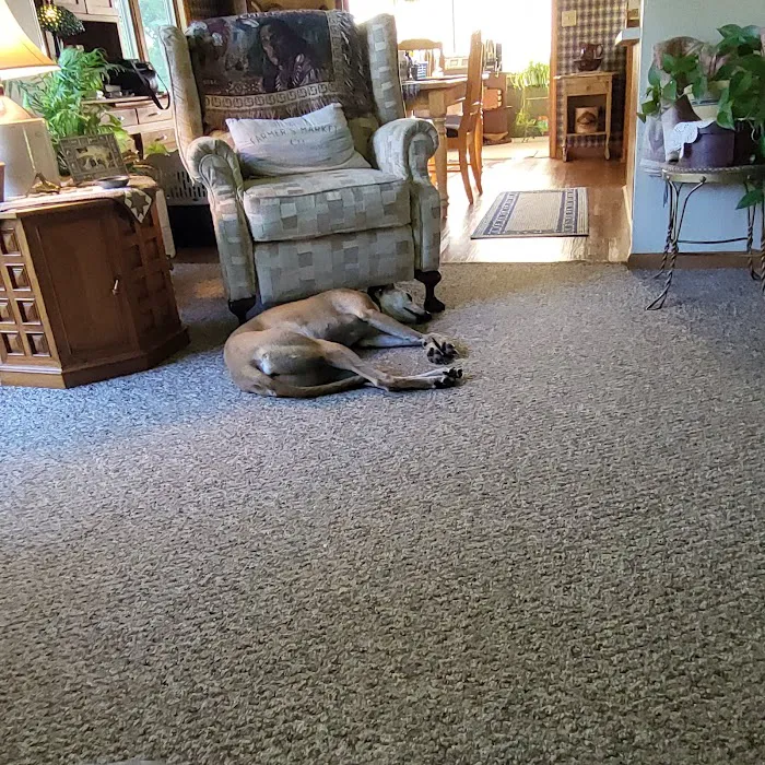 Maplecrest Animal Hospital 10