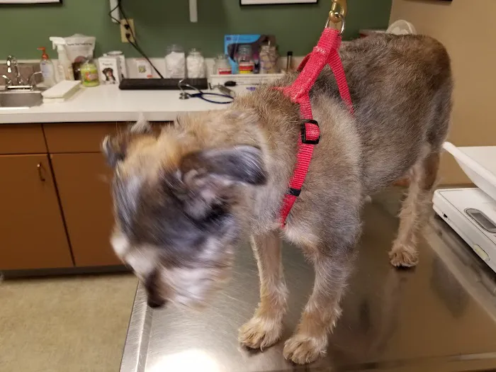 Maplecrest Animal Hospital 5