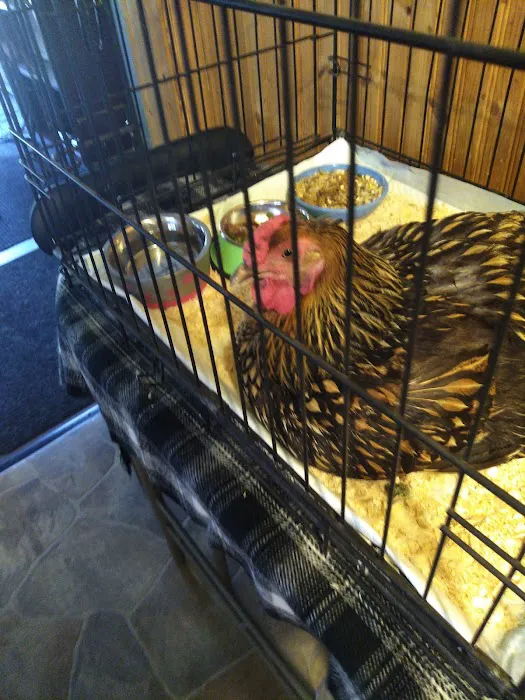 Goshen Animal Clinic 12