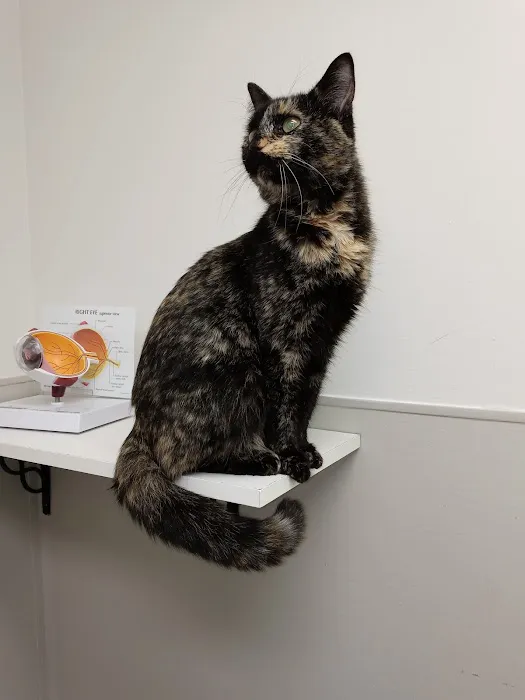 Dowagiac Animal Hospital 6