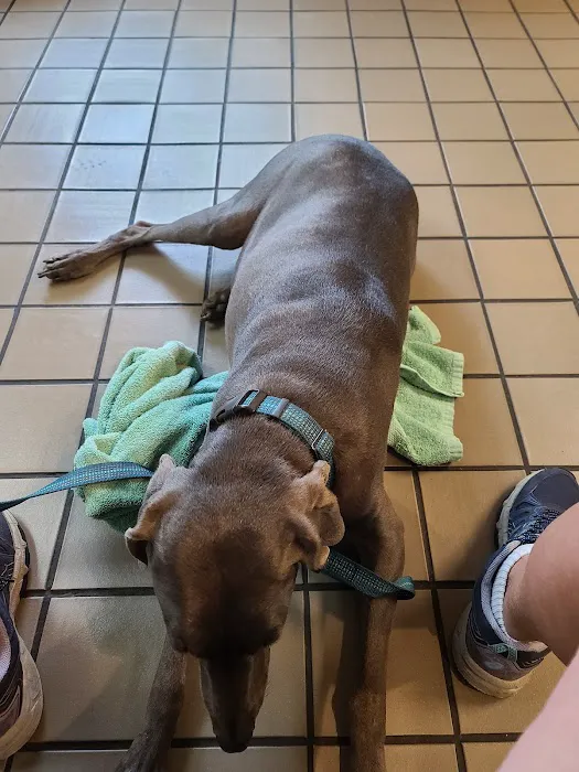 Dowagiac Animal Hospital 2