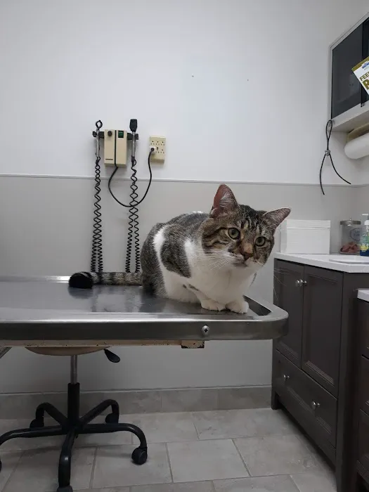 Dowagiac Animal Hospital 4