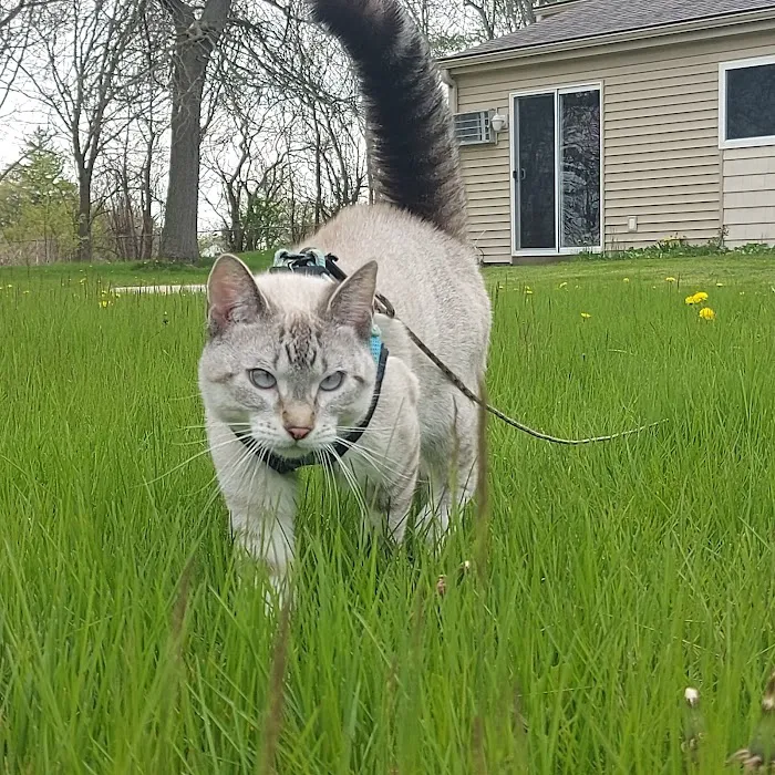 Spay Neuter Express 10