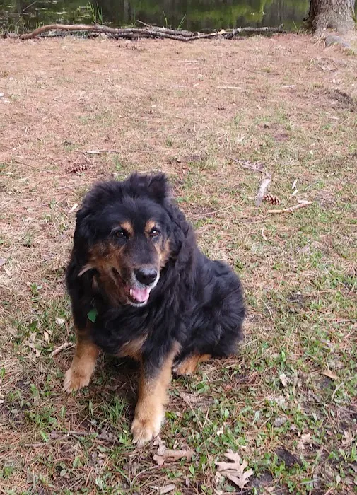 White Lake Animal Clinic 3