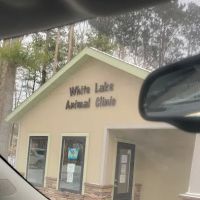 White Lake Animal Clinic ico