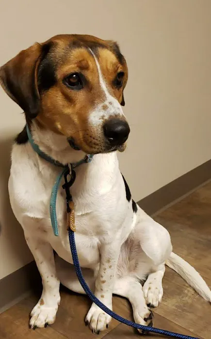 Oceana Veterinary Clinic 7