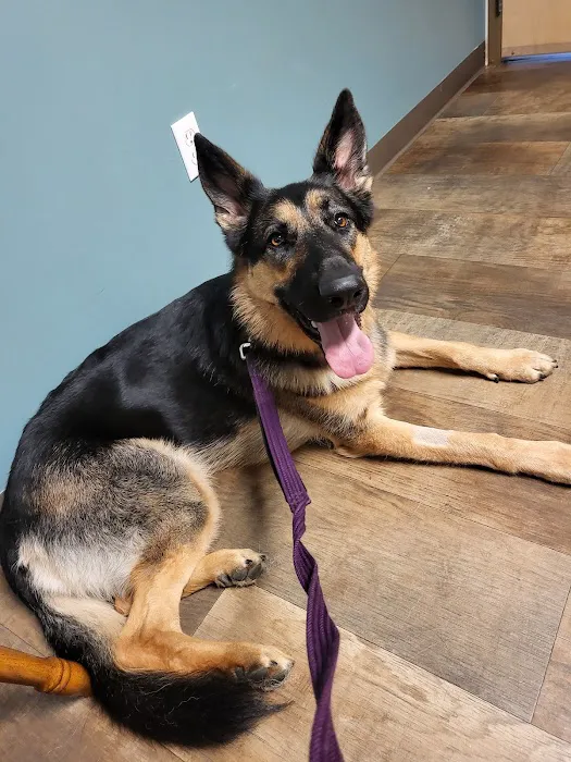 Oceana Veterinary Clinic 4
