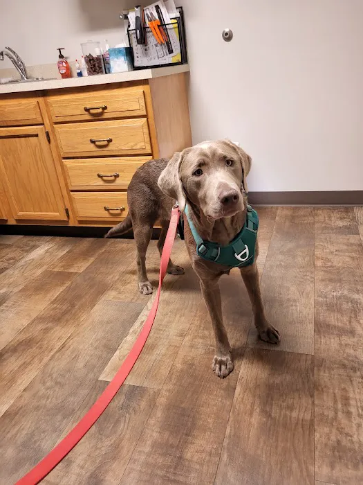 Oceana Veterinary Clinic 6