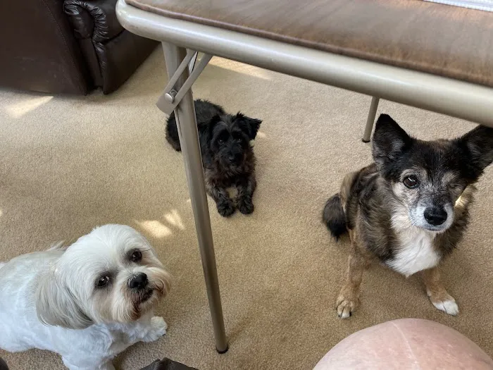 Glencoe Animal Hospital 3