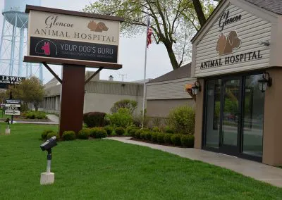Glencoe Animal Hospital 2