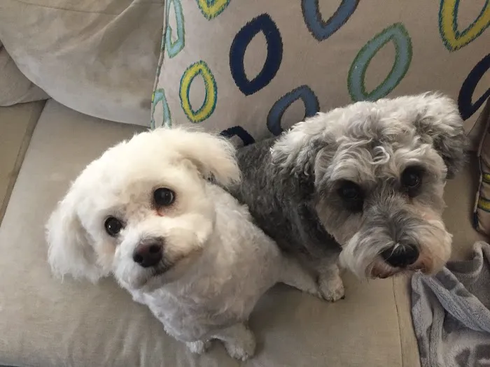 Glencoe Animal Hospital 9