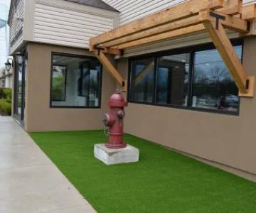 Glencoe Animal Hospital