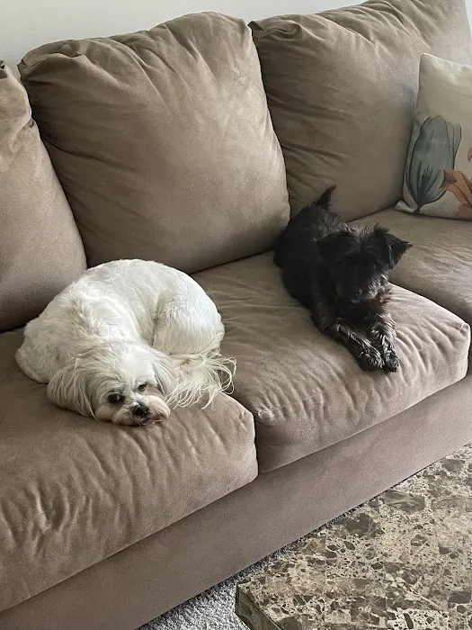 Glencoe Animal Hospital 4