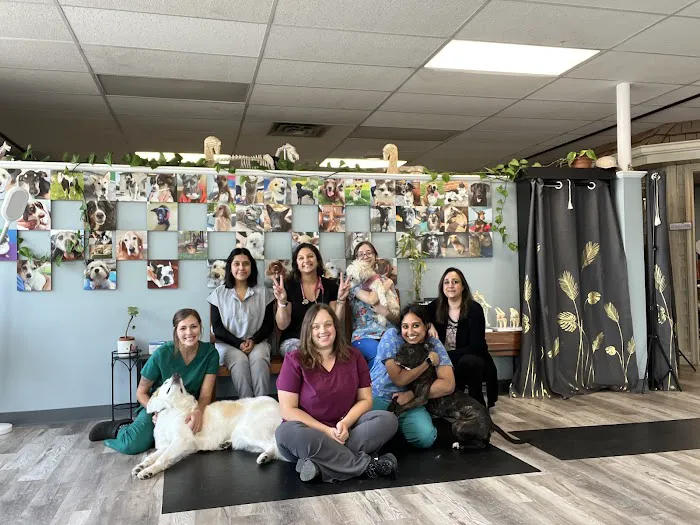 Arya Animal Acupuncture - Specialty Integrative Veterinary Medicine | Dr. Priya Bhatt, DVM 12