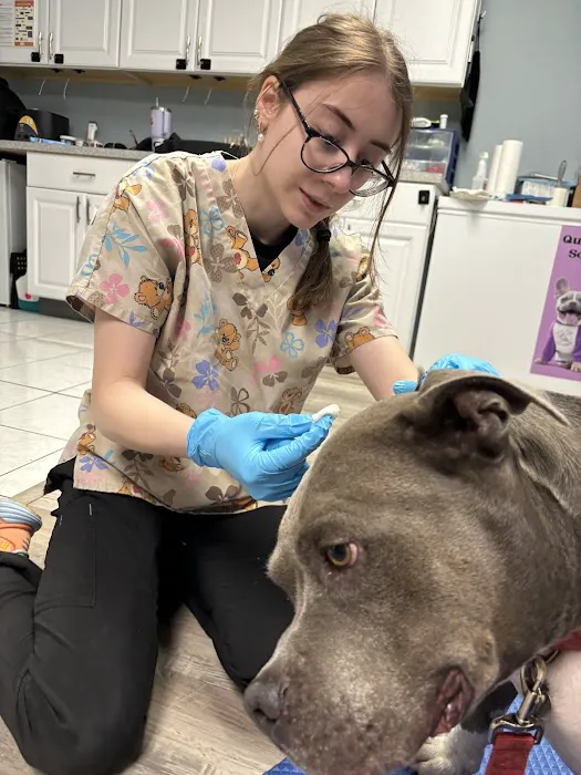 Arya Animal Acupuncture - Specialty Integrative Veterinary Medicine | Dr. Priya Bhatt, DVM 12