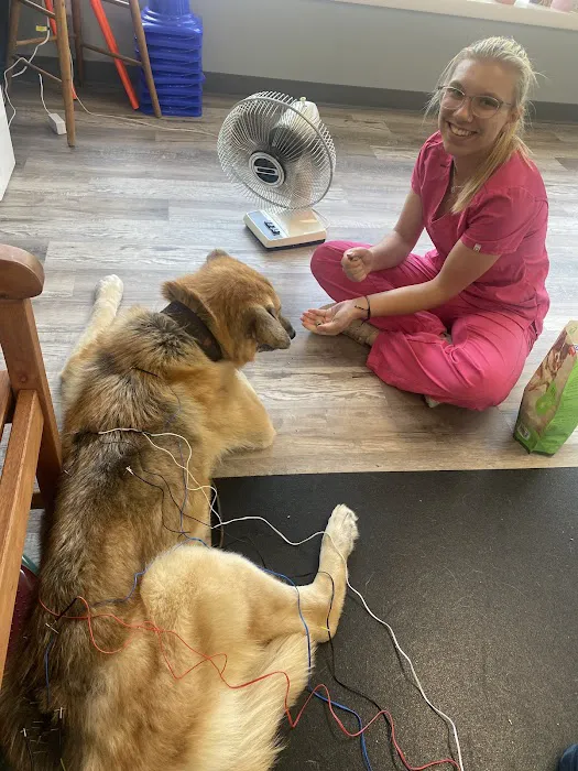 Arya Animal Acupuncture - Specialty Integrative Veterinary Medicine | Dr. Priya Bhatt, DVM 12