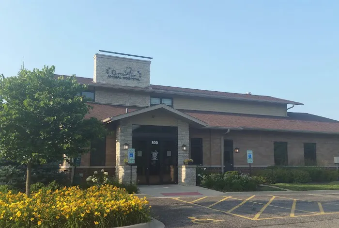 GreenTree Animal Hospital 12