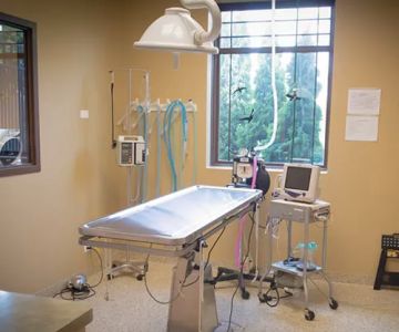 GreenTree Animal Hospital