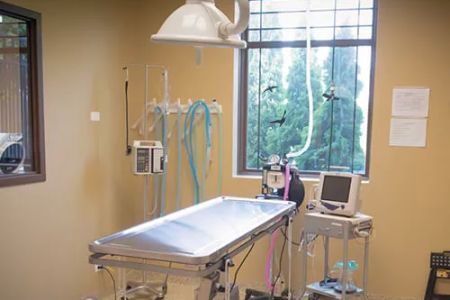 GreenTree Animal Hospital