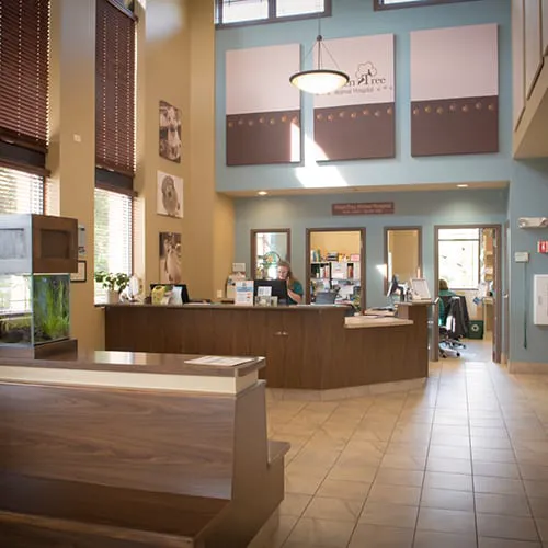 GreenTree Animal Hospital 12