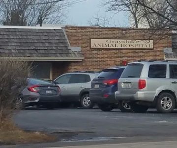 Grayslake Animal Hospital