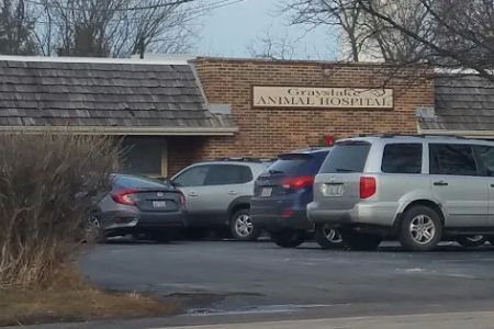 Grayslake Animal Hospital
