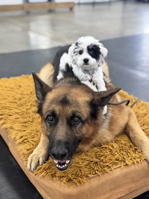 Grayslake Animal Hospital 4