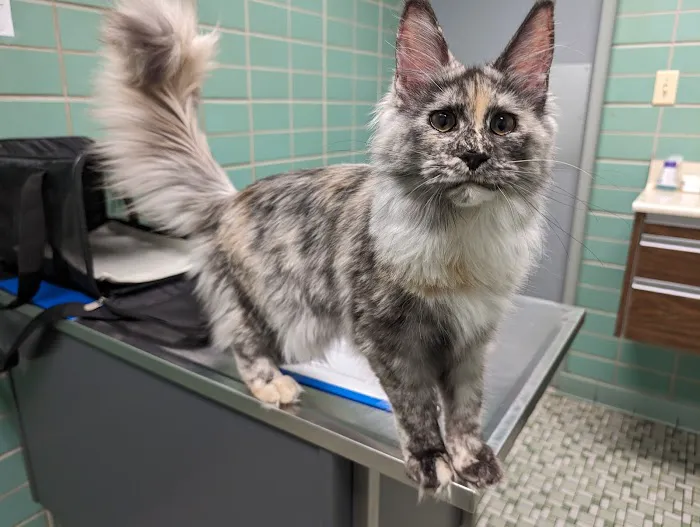 Grayslake Animal Hospital 3