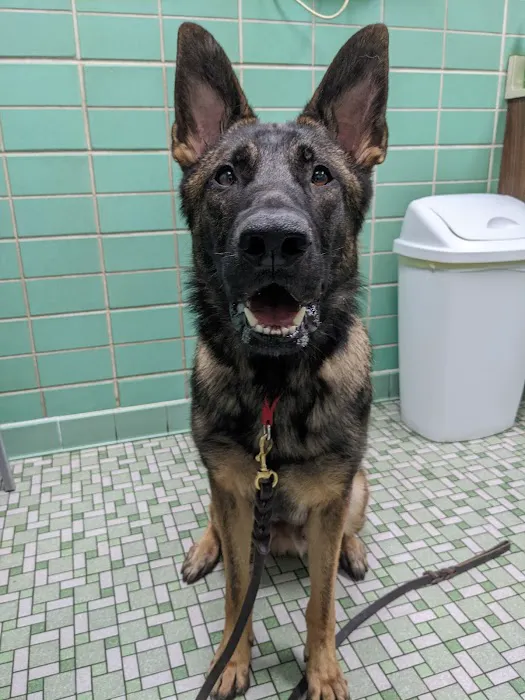 Grayslake Animal Hospital 6
