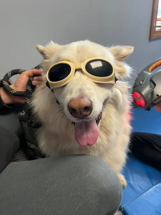 TOPS Veterinary Rehabilitation, A Thrive Pet Healthcare Partner 5