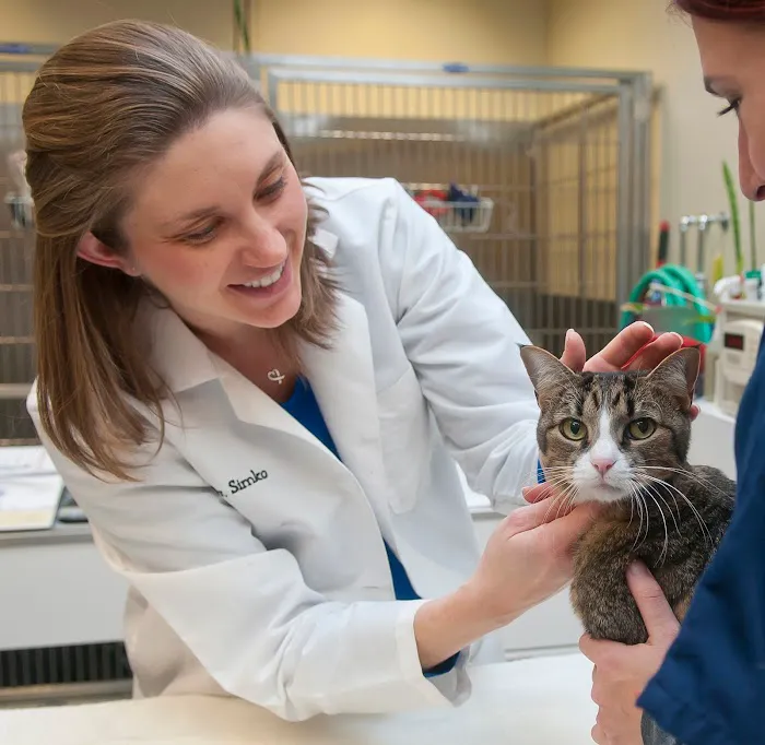 PetCure Oncology Central Office - Advanced Cancer Treatments for Cats & Dogs 12