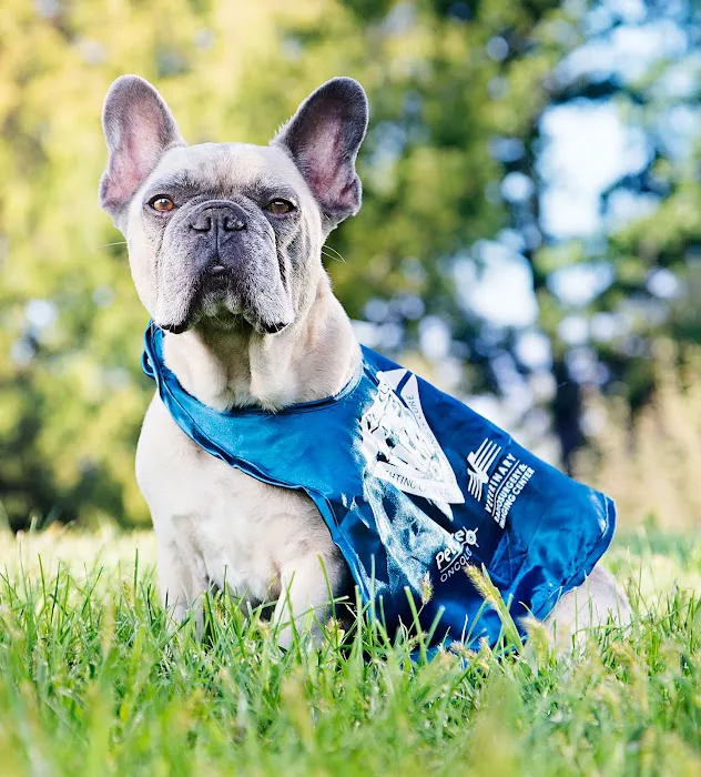 PetCure Oncology Central Office - Advanced Cancer Treatments for Cats & Dogs 12