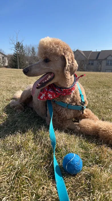 Premier Veterinary Group - Mundelein 12