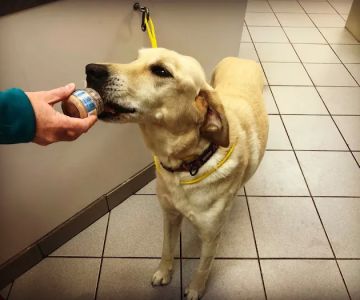 Premier Veterinary Group - Mundelein