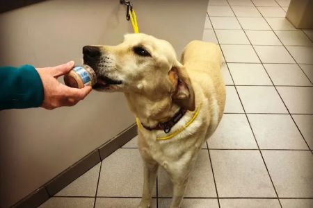 Premier Veterinary Group - Mundelein