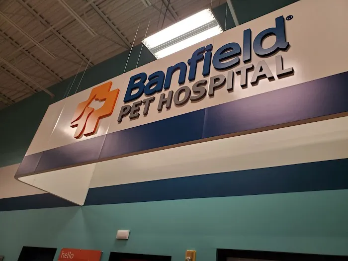 Banfield Pet Hospital 6