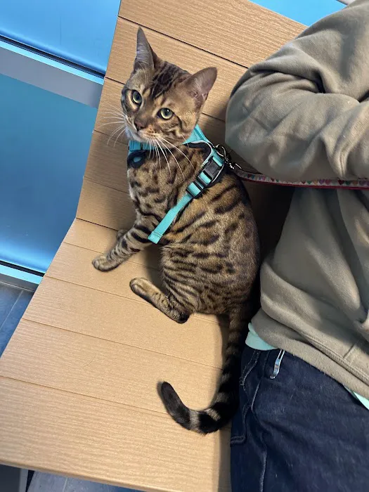 Banfield Pet Hospital 2