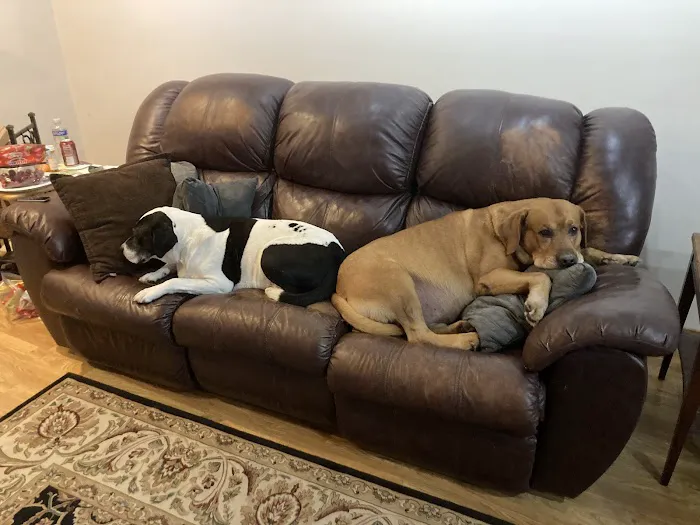 Harper Animal Hospital 12