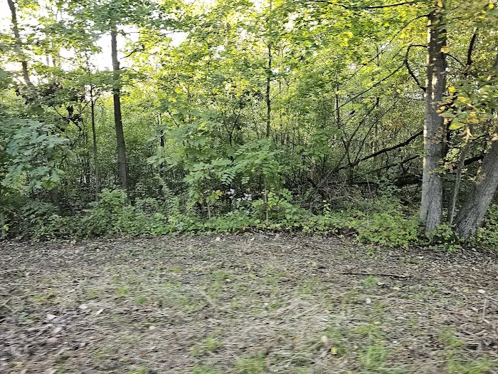 Forest View Animal Hospital 12