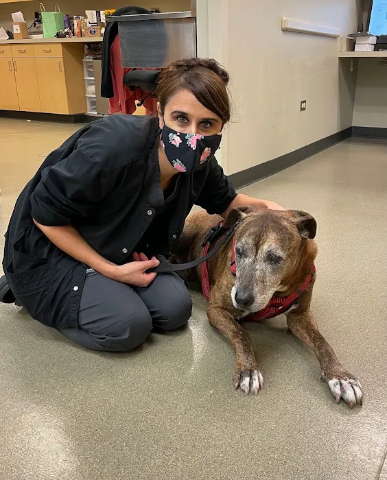 Hoffman Estates Animal Hospital, A Thrive Pet Healthcare Partner 12
