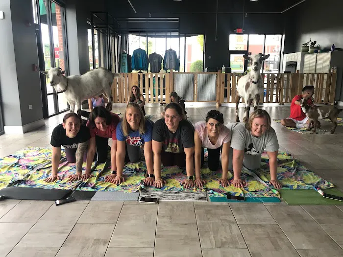 Hoffman Estates Animal Hospital, A Thrive Pet Healthcare Partner 12