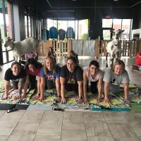 Hoffman Estates Animal Hospital, A Thrive Pet Healthcare Partner ico