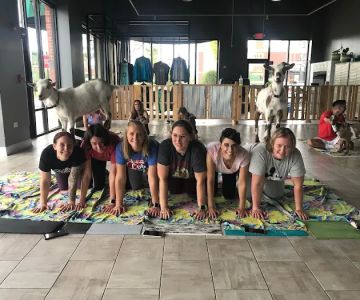 Hoffman Estates Animal Hospital, A Thrive Pet Healthcare Partner