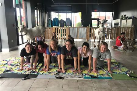 Hoffman Estates Animal Hospital, A Thrive Pet Healthcare Partner
