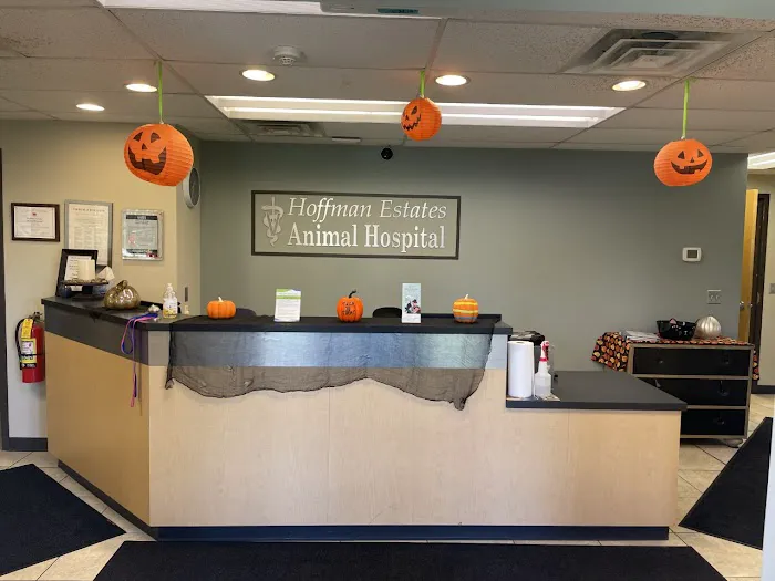 Hoffman Estates Animal Hospital, A Thrive Pet Healthcare Partner 12